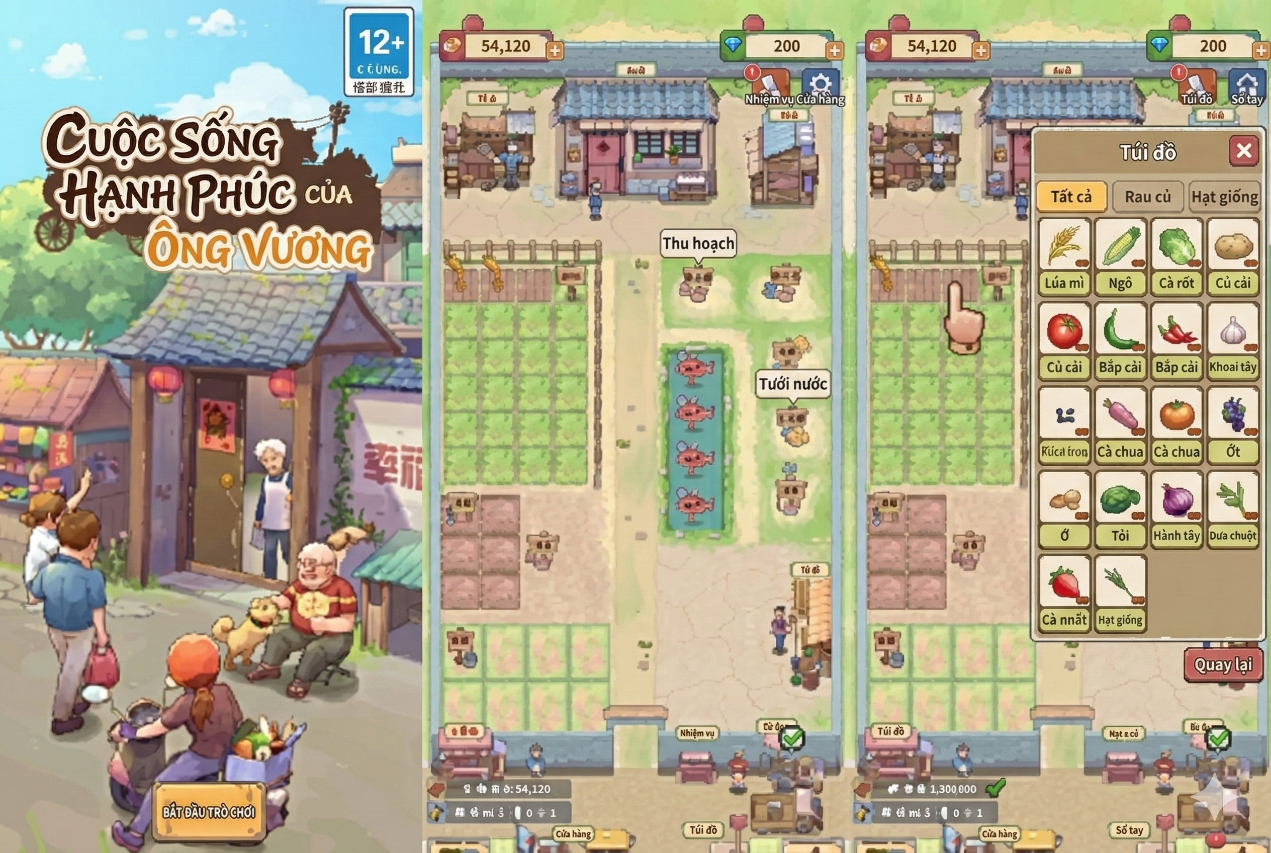 Cuộc Sống Hạnh Phúc Của Ông Vương